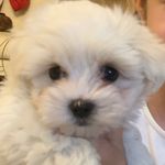 Theodore Moon (Teo) - @theodoremoonofficial - Instagram