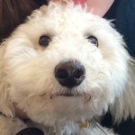 Teddy Bear Morton - @theodore_morton - Instagram