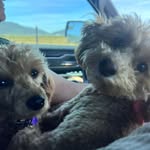 Phoebe Alison Leker Maki III & Theodore Kopitar Mullins - @phoebea.and.theodorek - Instagram