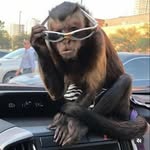 Theodore K Mullins - @theokmullins_ - Instagram