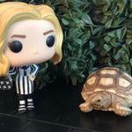 Theodore Mullins (the tort) - @tedthetestudine - Instagram