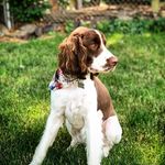 Theodore (Theo) K. Mullins - @theodore.k_mullins - Instagram