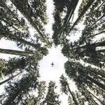 Olve ymjxkekgo Skjelbred - @theodoremyers_68791 - Instagram