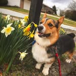 Theodore B. Chase Myers - @teddyisabastardman - Instagram