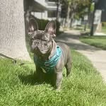 Theodore Chunk Myers - @theo_myerss - Instagram