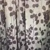 Theodore Patrick - @user7107359609704 - TikTok