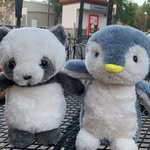 penny & theodore - @pennyandtheodore - Instagram