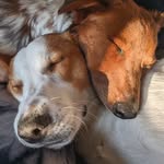 Theodore and Penny - @theodore_and_penny - Instagram