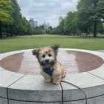 Theodore Chesterfield Perry - @tcp_the1st - Instagram