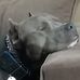 Theodore Perry - Facebook