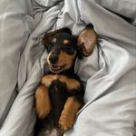 Theodore Perry “teddy” - @theoffical_theodoreperry - Instagram