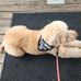 Theodore Pollack - Facebook