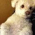 Theodore Ramirez - Facebook