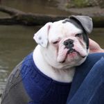Theodore Randall - @just_randall11_7 - Instagram