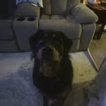 @theodore_randolph5 - Instagram