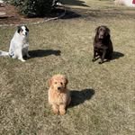 Henry      Reese     Theodore - @reese_henry_theodore_14 - Instagram