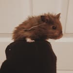 Theodore Reese - @theodore._.reese - Instagram
