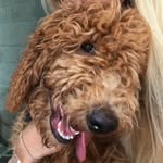 Theodore Reese - @theodore.reese - Instagram