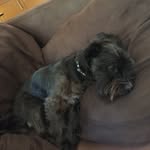 Theodore Riley St.Regis - @dawg.teddy - Instagram