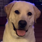 Theodore Robertson - Facebook