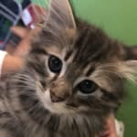 Theodore Rodriguez Ayon - @theodore_the_kat - Instagram