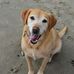 Ted Rosenberg - Facebook