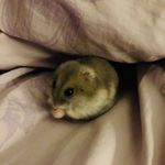 Theodore Rosenberg - @supereffective08 - Instagram