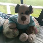 theodore Schmidt - @theodore.auf.reisen - Instagram