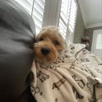 Teddy ❤️ - @theodore.sharpe - Instagram