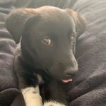 Theo - @theodore_fredrick_sharp - Instagram