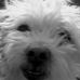 Theodore Simmons - Facebook