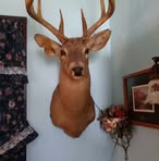 Theodore Simmons - Facebook