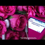 Theodore Sinclair - @theodoresinclair - Instagram