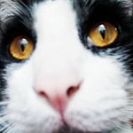 Theodore Sinclair Hewing - @theodorehewing - Instagram