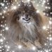 Theodore Skinner - Facebook