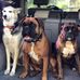Theodore Skinner - Facebook
