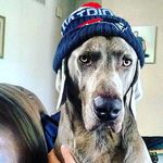 Theodore Crown Steele - @theodorecrown - Instagram