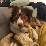 Theodore Steele - @theodoreinsantafe - Instagram