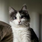 Theodore Stiles - @tedd.stiles - Instagram
