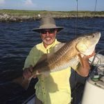 Theodore Swan - @theodore_swan.90 - Instagram