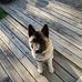 Theodore Swanson - Facebook
