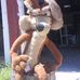 Theodore Swanson - Facebook
