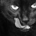 Theodore Swanson - Facebook