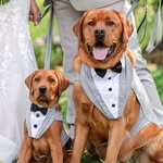 Maverick Theodore & Murphy Tate - @mr.maverick.theodore - Instagram