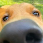 Theodore Tate - @theodore.tate.b - Instagram