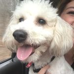 Theodore Tater Wagler - @theodoretater - Instagram