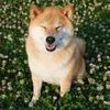 Theodore Thien - @theodorethien - TikTok