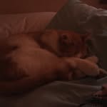 Theodore Nelson Thurman - @teddy_thurman1 - Instagram