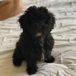 Tilly Goodman - @tilly_and_theodore - Instagram