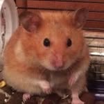 TTT - @theodore.tilly.tink - Instagram